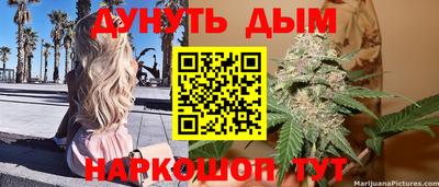 spice Владимир