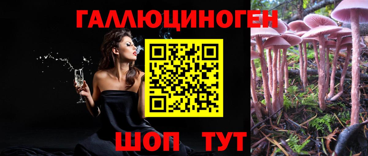 Вязники  цены   Вход с VPN  Галлюциногенные грибы Psilocybe 